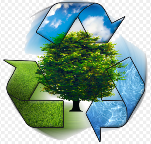 Descarga politica de gestion ambiental